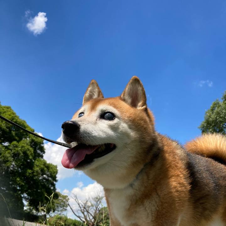 F74fcafc 53ac 4157 8fc9 11c99ad092ad 1725937324556