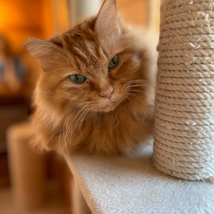 F74fcf60 2eb2 4dba 9bbc 48821ff45344 1643231035545