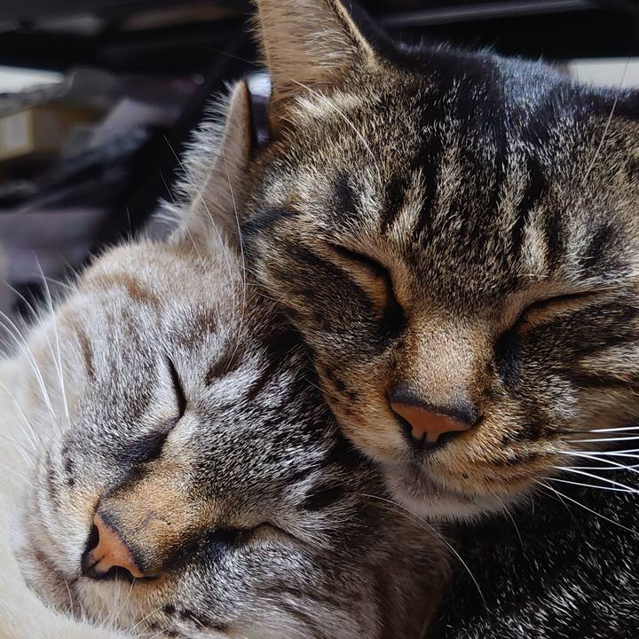 F750008a f14a 40e0 af42 6b8d6bcbd319 1635164323156