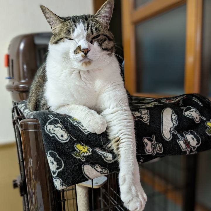 F7500c63 07db 4c82 a499 97dd3b31e070 1686088150624