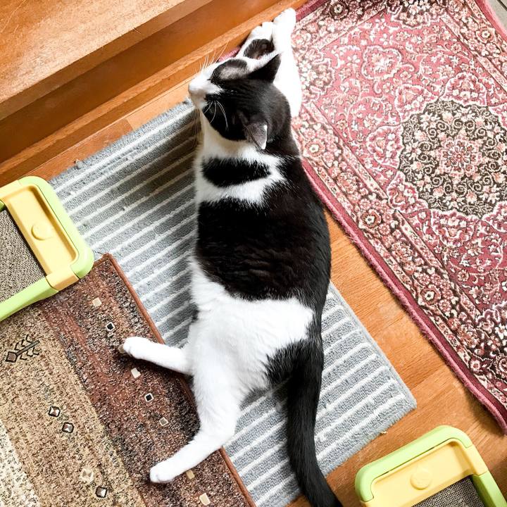 F7502c0e d01a 4306 8759 a21893293877 1531275129577