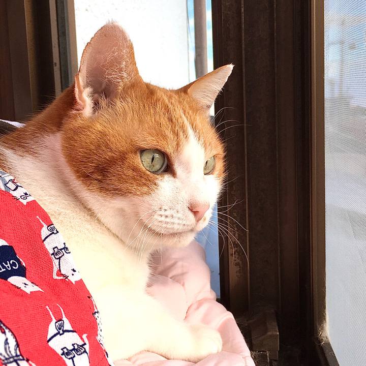 F7503d11 5d52 4e03 baf7 007636af57eb 1578292550879