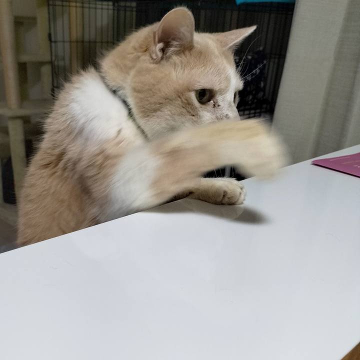 F750a52a 9f16 425f 9e37 237ee37fb4b3 1711624802118