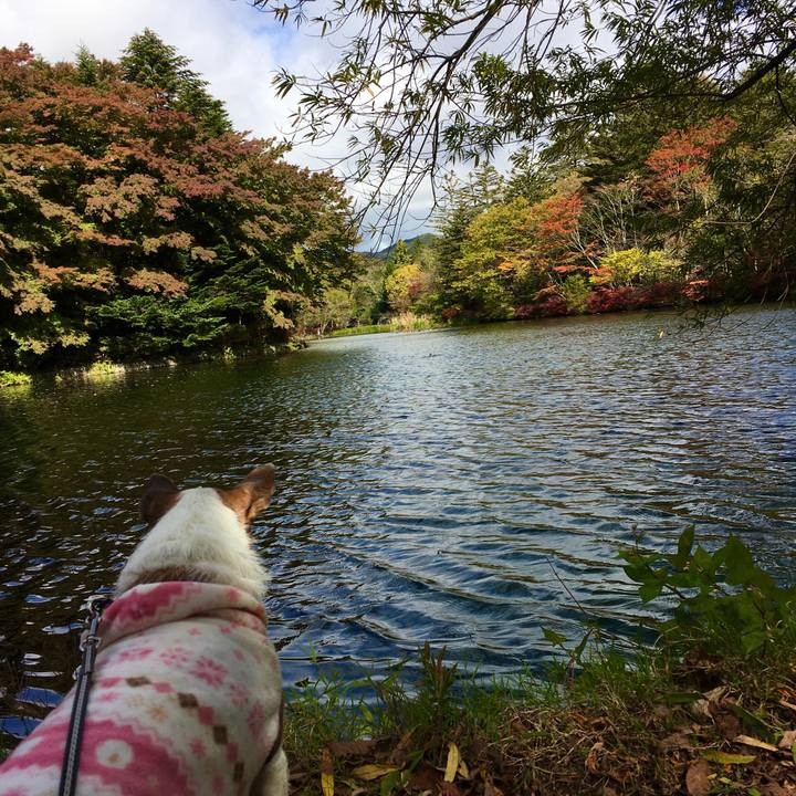 F750abf6 00b7 4b72 851d f259a906ac70 1635039533939