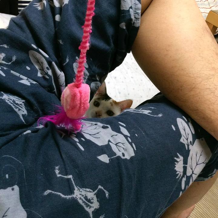 F750d347 a4d2 4af1 b65d 53d1493f3225 1564097838168