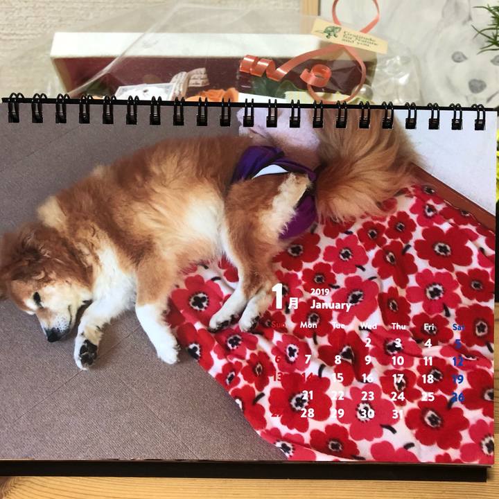 F750e9a3 116b 48e2 a169 d8d5f4233dd5 1547459930233