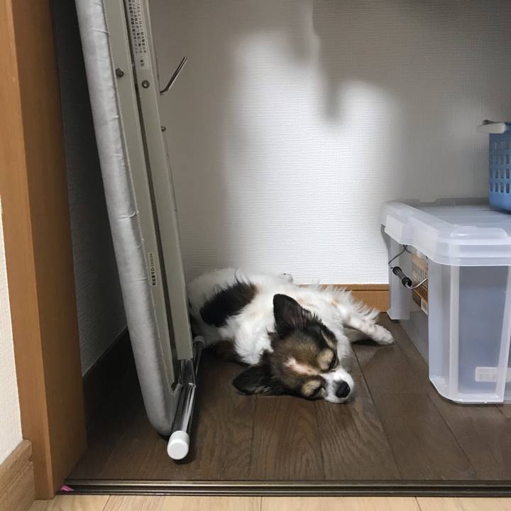 F750ea72 e641 4562 8f37 0dffb4f147ea 1598580965328