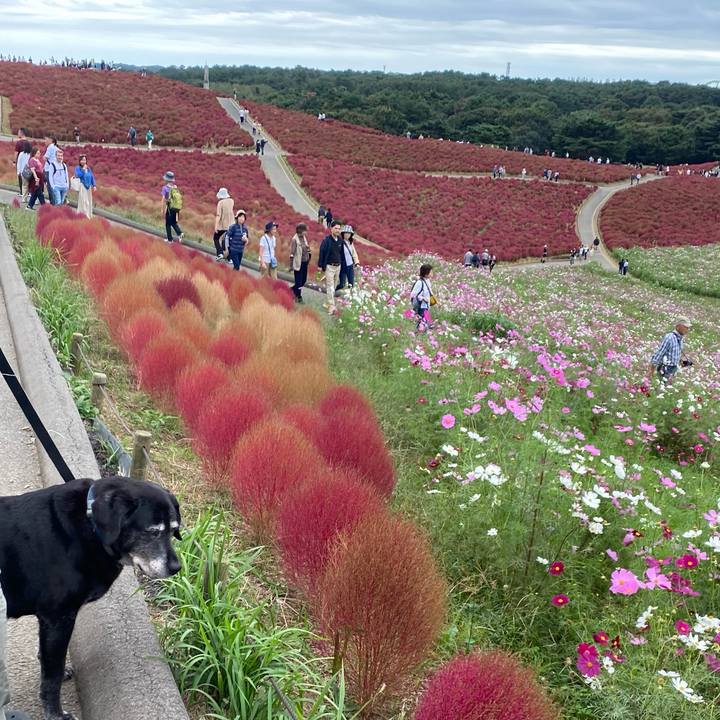 F7510cdb 318a 46d8 80f5 33c5af3d6840 1729901063152