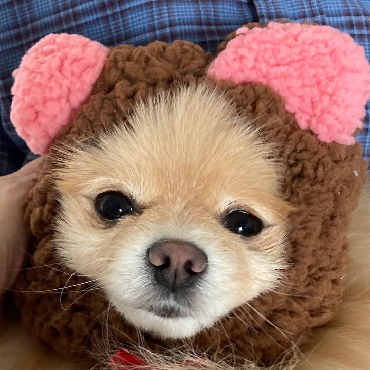 F7512213 a818 4d70 90ca f33557e94f90 1648458052623