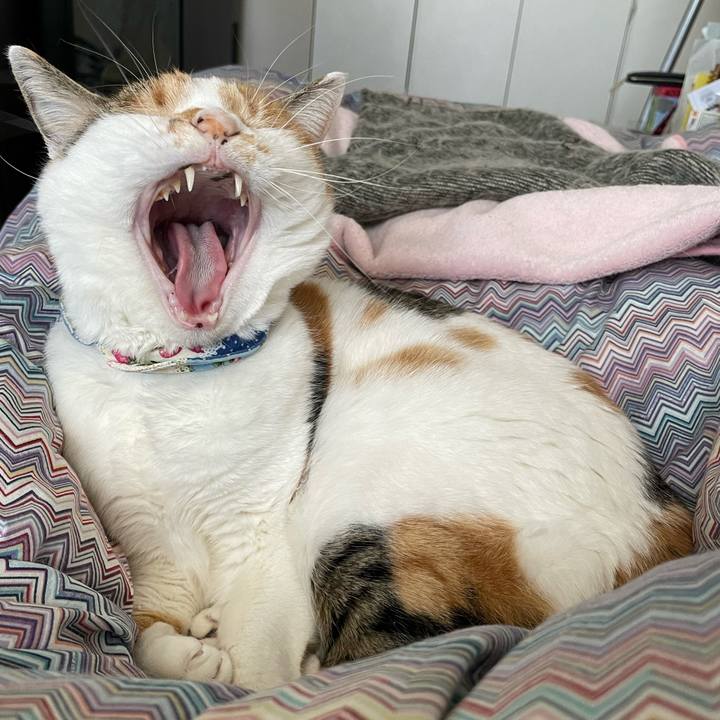 F7515041 ac83 4bb8 a634 dd0b49b2cc52 1709426432332