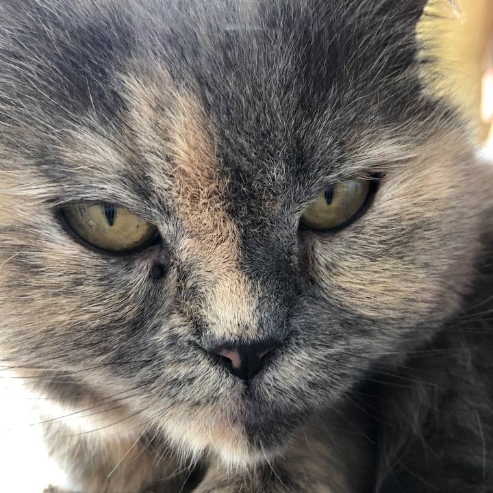 F751c1c3 bc15 43d8 b88e be64f4828fe5 1775756272721