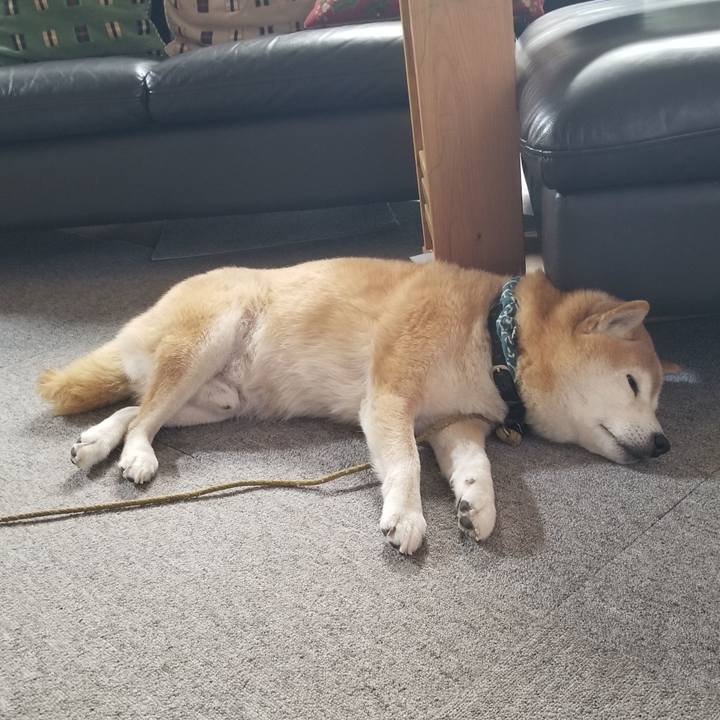 F751cc57 66ee 4e37 88c7 7ee5af2ad5d3 1703373270784