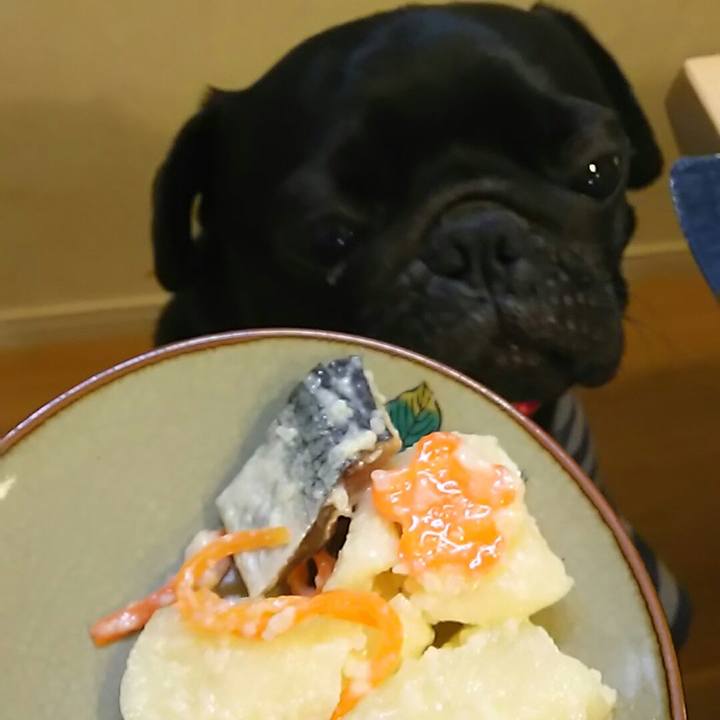 F751d184 1463 427b bb62 9533996d505f 1546338719291