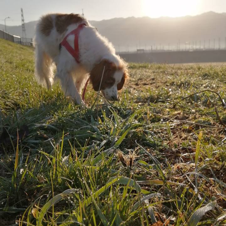 F751d4f2 b882 46f7 a9d9 10b388995be0 1614036992016