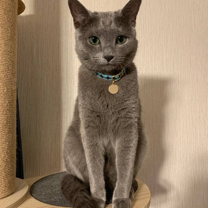 F751daf7 a78c 41f5 a05b 3843e83d6a70 1593076233287