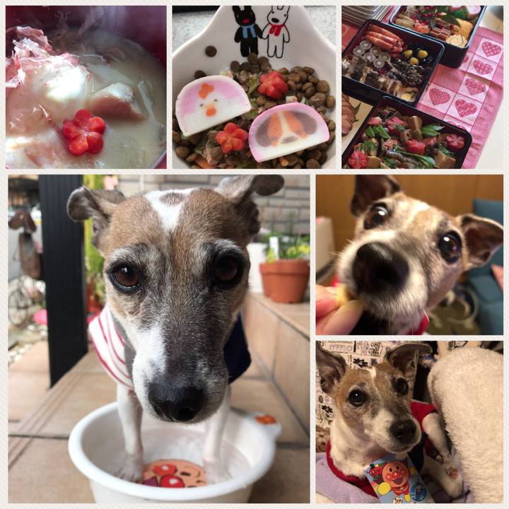 F75257f0 f133 42b4 ba52 d2859bd6ecbc 1515118744338