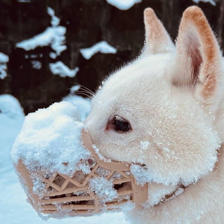 F7527573 0e4d 43e9 b5c1 34263710e4f5 1733610123034