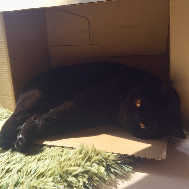 F7528aba 3f90 4ce1 a163 0cf4d6cea851 1522044812591