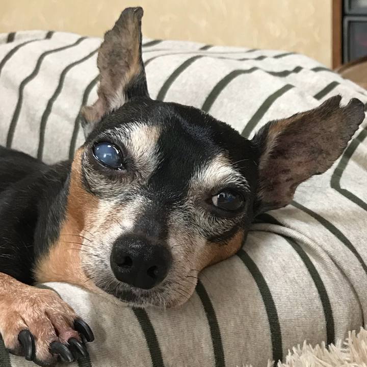 F752a9ef aa36 4b90 adc6 e8769af2a4c3 1541940543273