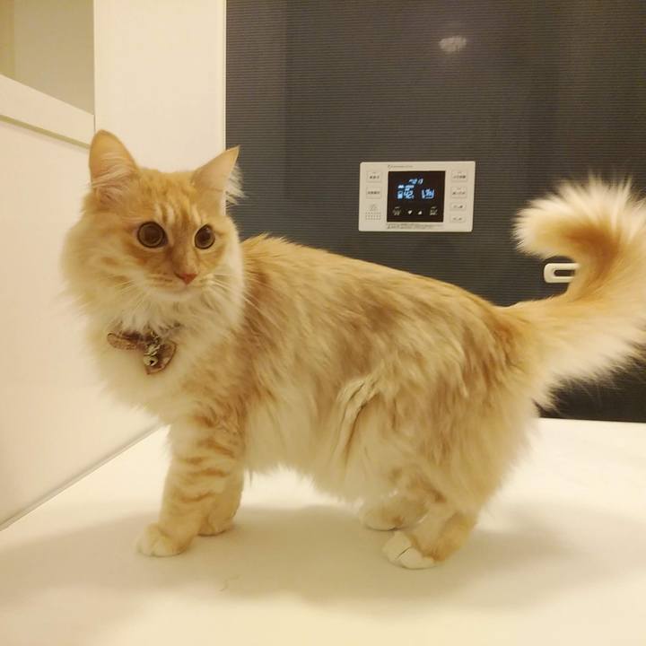 F752ddd3 5190 4ab2 b0be d1e69df4a60f 1704814073512