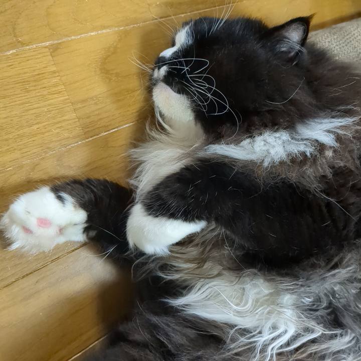 F752df67 3b45 4346 bd6a 9ee2f4b67a07 1757997709995