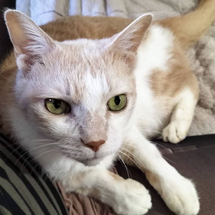 F752e6f1 a1ef 461f b0bd 7c4b23bdd7e5 1667713404329