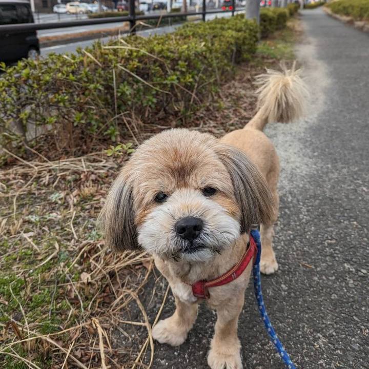 F752f37b 99d5 4bd0 af82 60a1d1723eee 1706362622056