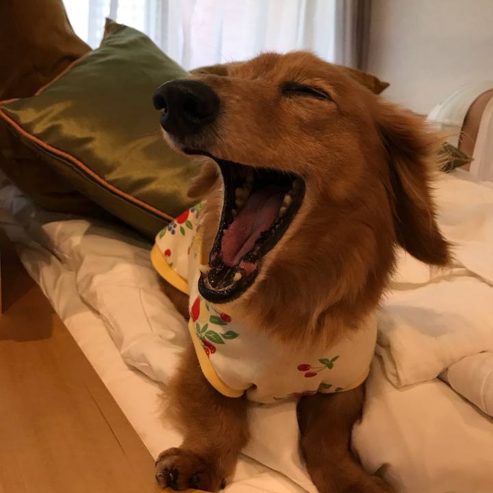 F753185e a16d 46e3 a4f1 66206accebba 1565415635642