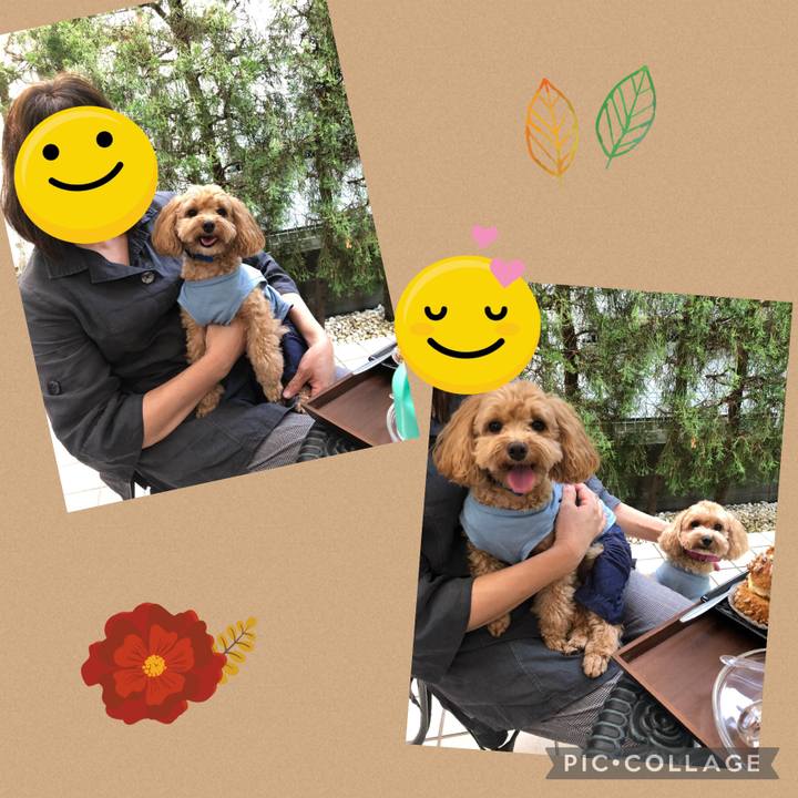 F75318fc 97f7 46a8 ac60 b730c1a52e04 1633177315344