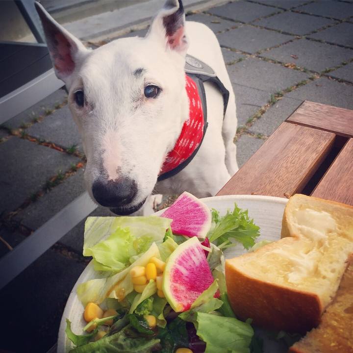 F7532419 7127 444f 8ed5 04177f331c4c 1534380054794