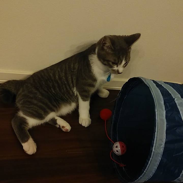 F7534756 adf8 40e1 a0da c1855b719be9 1567340871328