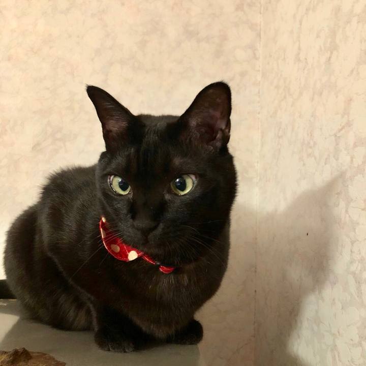 F753a605 28d4 4112 8ffb 0c06c04c5cd9 1514383256783