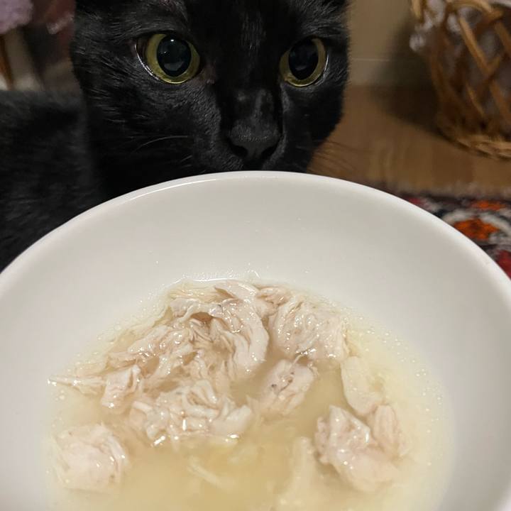 F753c576 b491 46ea af63 69cd1198696f 1757508854304