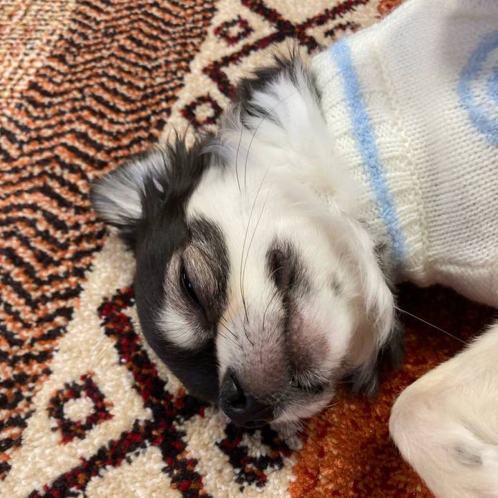 F753c71c 5712 4f8e 9121 d46346df9297 1672760818891