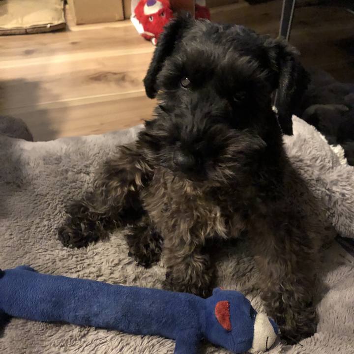 F753cf5a f6c8 4c13 ab6a a88ae7ee0902 1540728023317