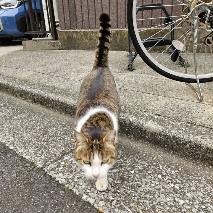 F753d6d5 dc6f 4deb be72 013e246bd2f1 1712106245334