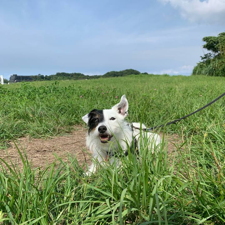 F753e296 1613 4151 9a0e dff64b6b65d3 1687306463581