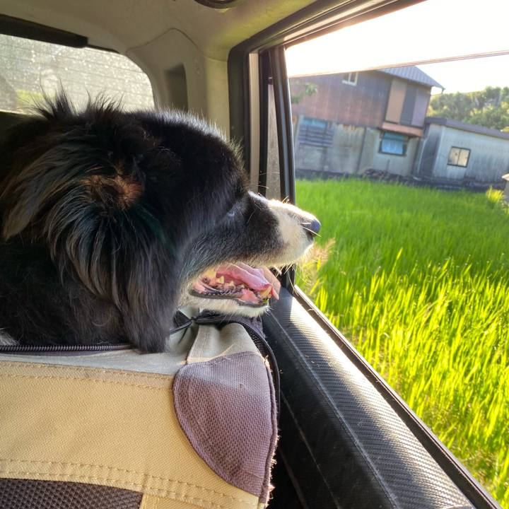 F753fd8c 2bc5 42e3 baa1 b73cd209d6a6 1693346802349