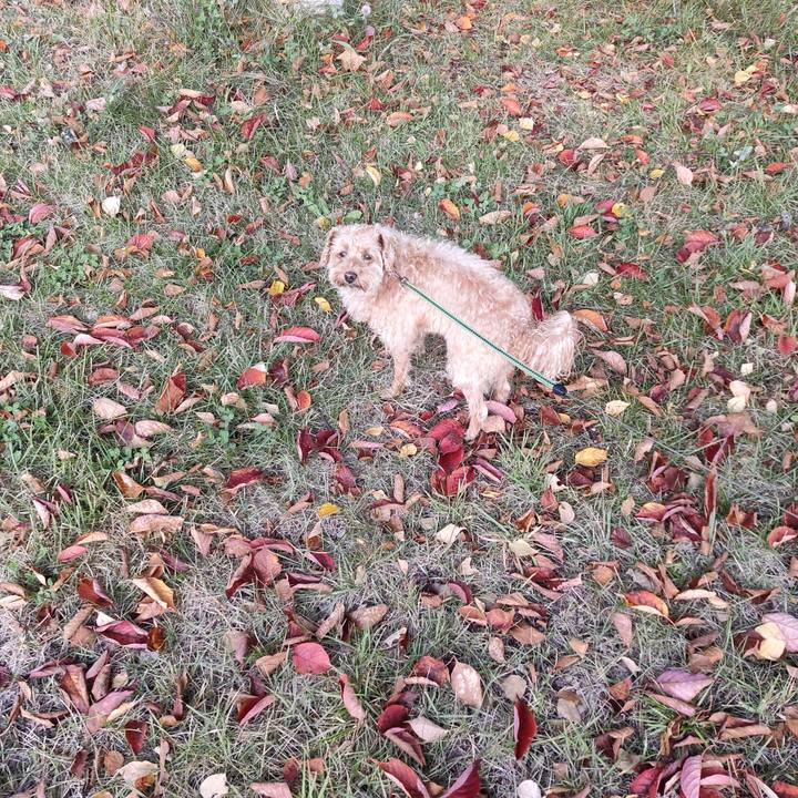 F753fe4b a2ef 44f5 bd87 c589406b612d 1602374075115