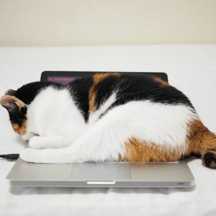 F75427eb fdaa 4334 b1db 02a618d773c3 1555624987947