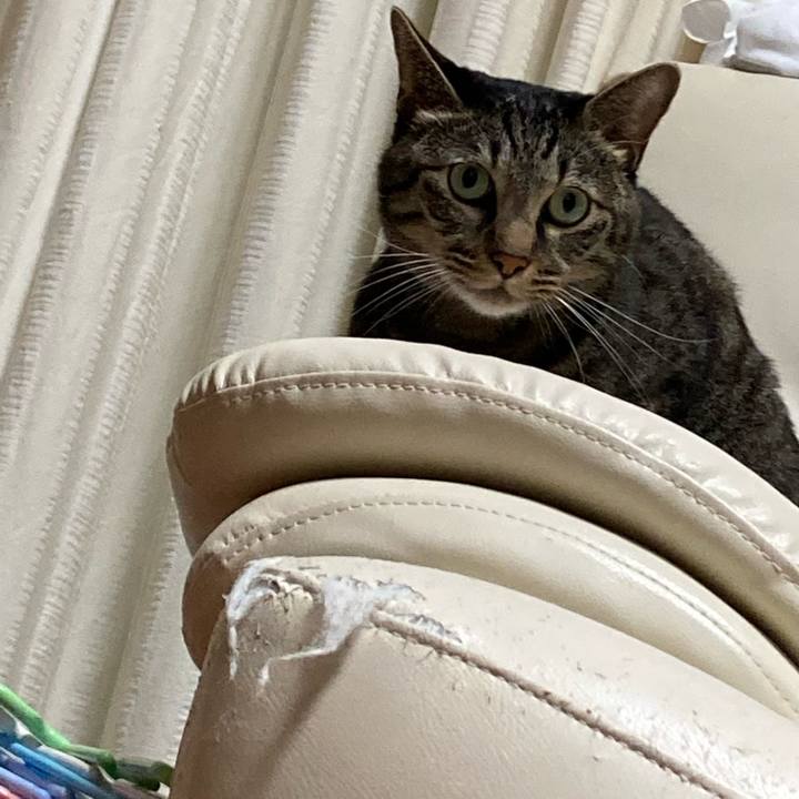 F7542c56 03da 4edf 8fc1 b1c4d18f873c 1663159222953