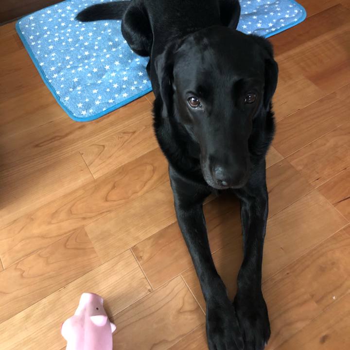 F7545621 88d3 4728 b45e 93df315f55c2 1594097724366