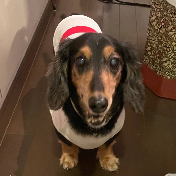 F75490f9 6159 407e b686 769ee5613195 1629801321686