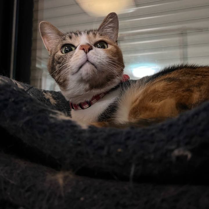 F754a102 f5f2 4bf9 9229 1c2a57060c47 1769255137496