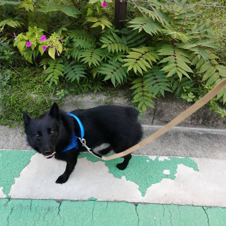 F754b102 3103 4905 82dc 5a1ef2aeb1cc 1600161551780