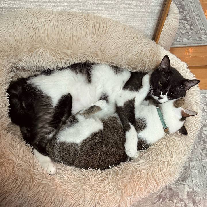 F754d05f 3059 4d9b b6ca d7e68aaf508b 1770885776926