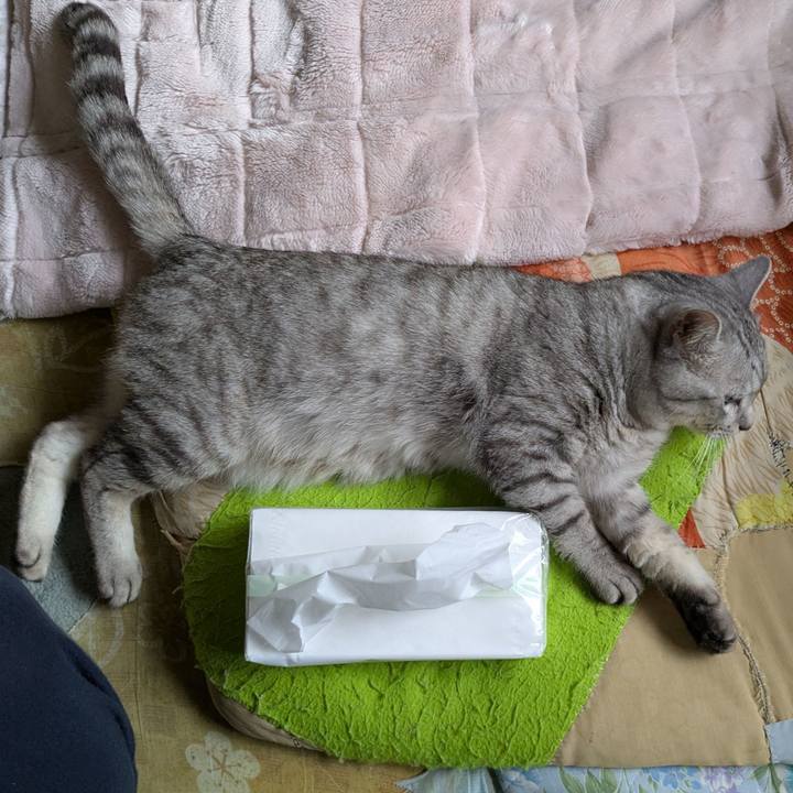 F755173a 2486 4268 94df bdfb718e3640 1756883458957