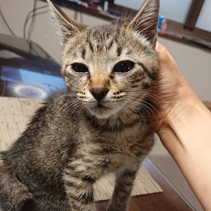 F755209c 99b4 4dc7 bf71 9b5f05c1843d 1560557957149