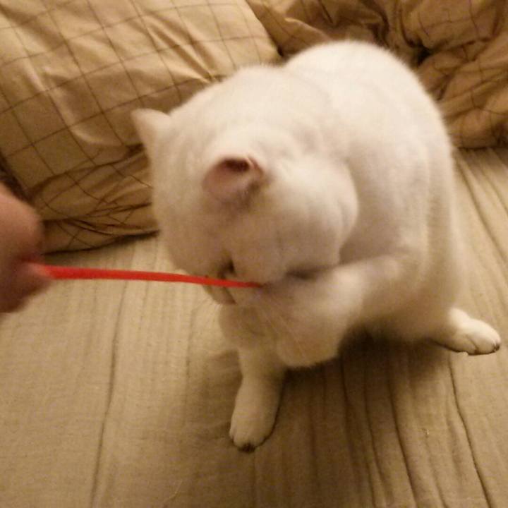 F75543c9 a4df 49b8 aee9 0279ba0d16ad 1509578169034