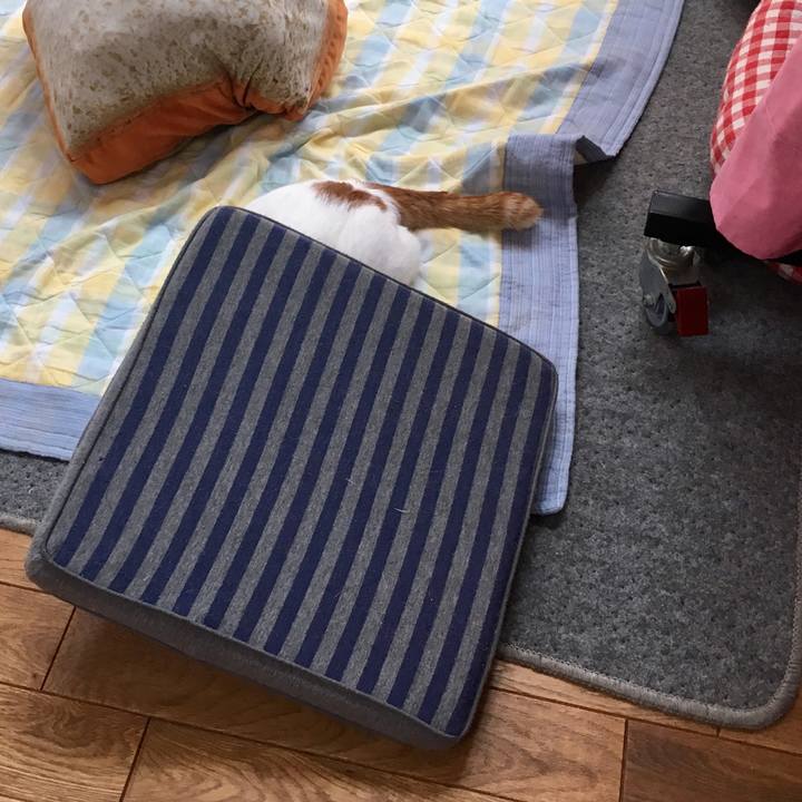 F755619d 1985 4163 9722 1f89933dbd10 1533942525400